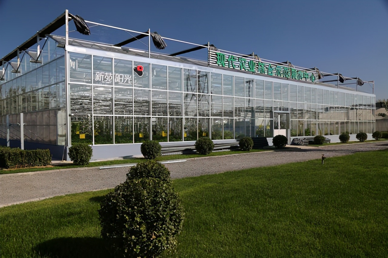 经济价值高的羊肚菌大棚如何设计建造？羊肚菌大棚建造难点