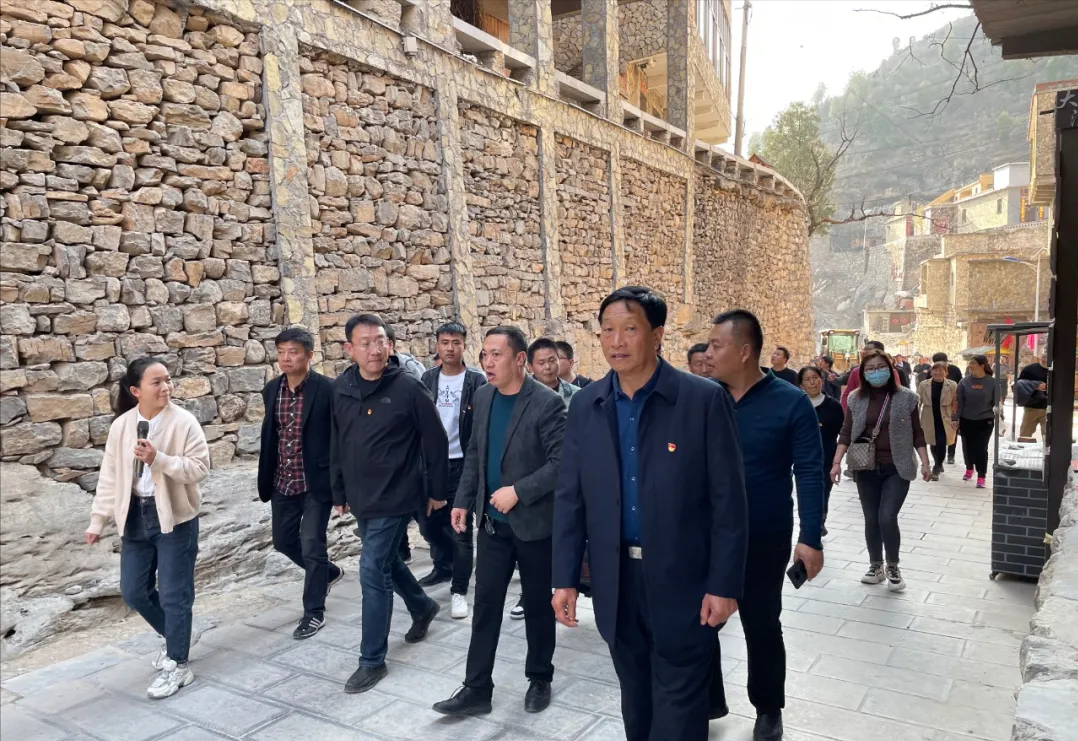 更乐镇大洼村火了！外地考察团到大洼考察乡村旅游！未来更加繁荣