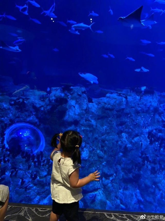 王祖藍帶女兒遊玩，下意識動作彰顯父愛，兩歲天韻肉嘟嘟愈發漂亮