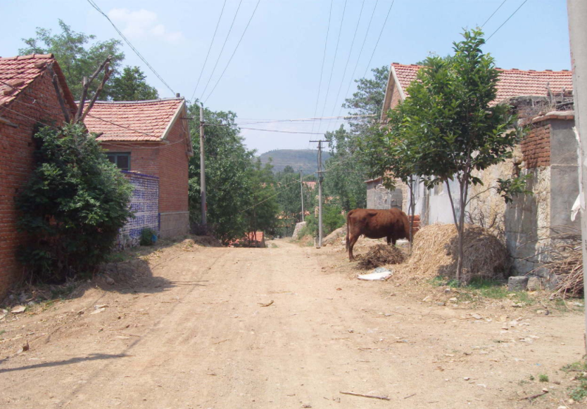 报杀父之仇，男子将村霸一家5口杀害，村民拒不提供抓捕线索，2002年凶案纪实