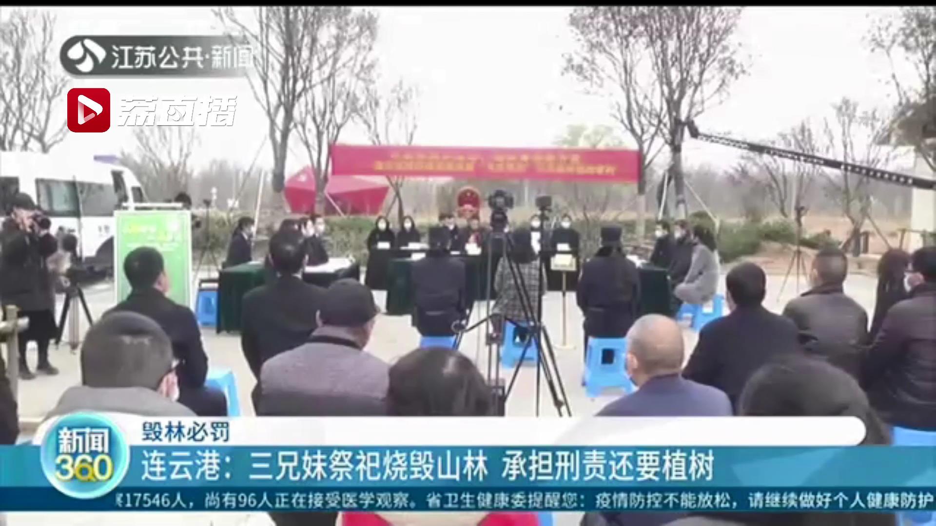 毁林必罚！连云港三兄妹祭祀烧毁山林 承担刑责还要植树