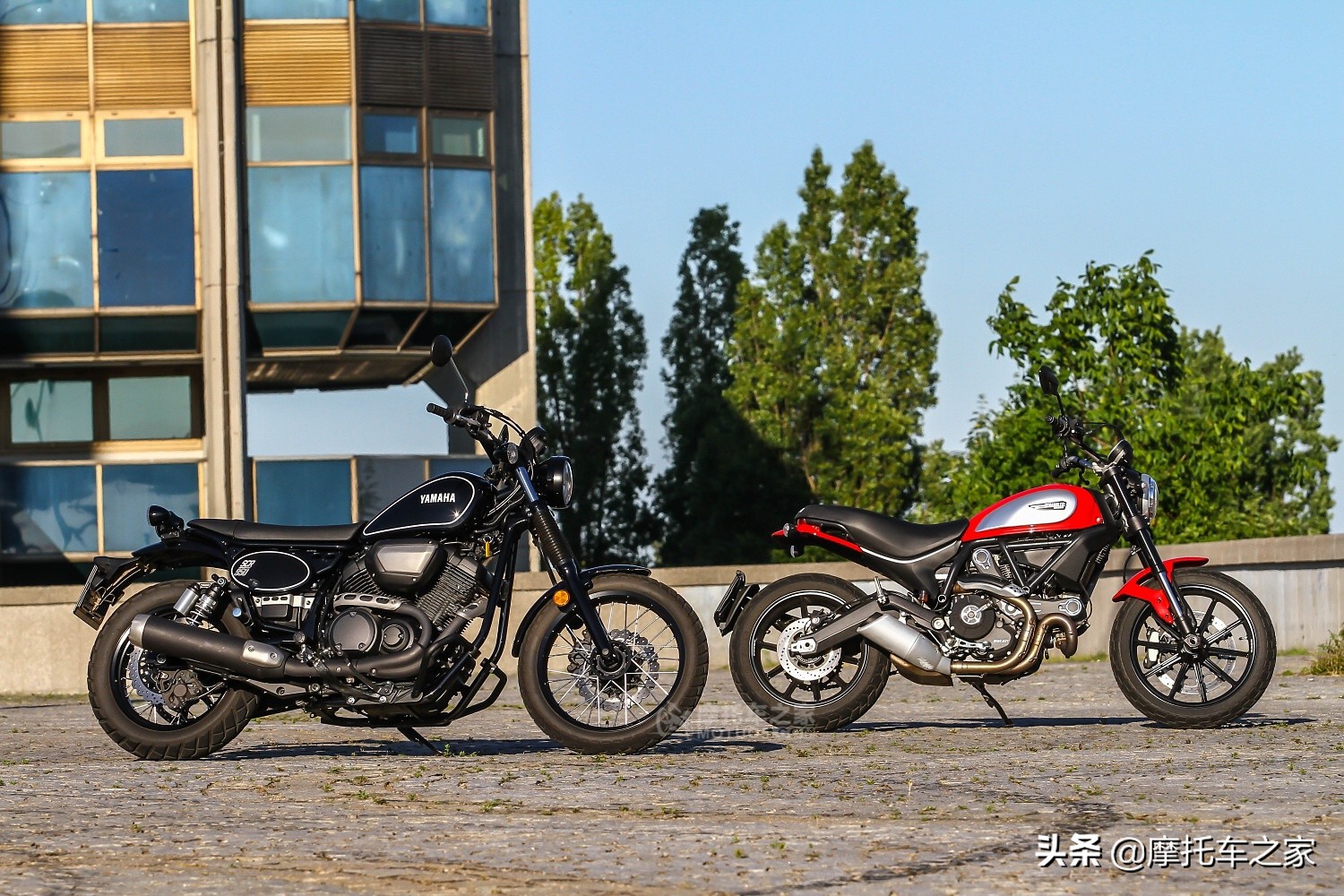 优雅的杜卡迪Scrambler自游和雅马哈SCR950，攀爬者中的扭力之王