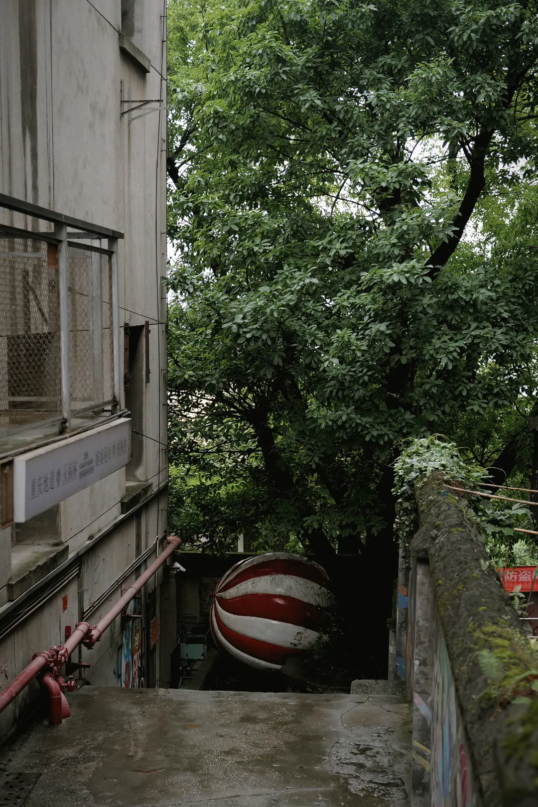 重庆旅游惊!竟然有人说重庆不适合旅游?