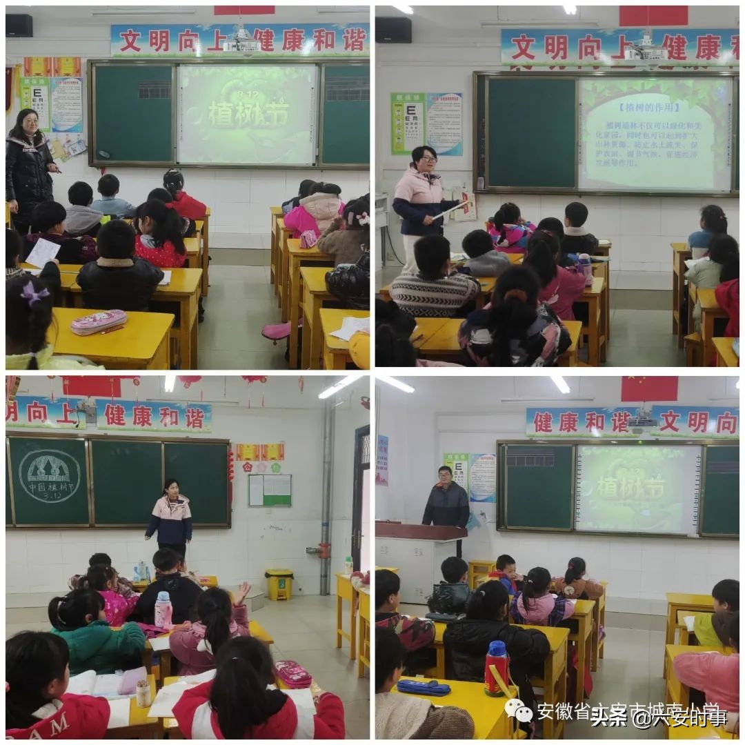 ӵ������ ������ɫ���������г���Сѧֲ���ڻ