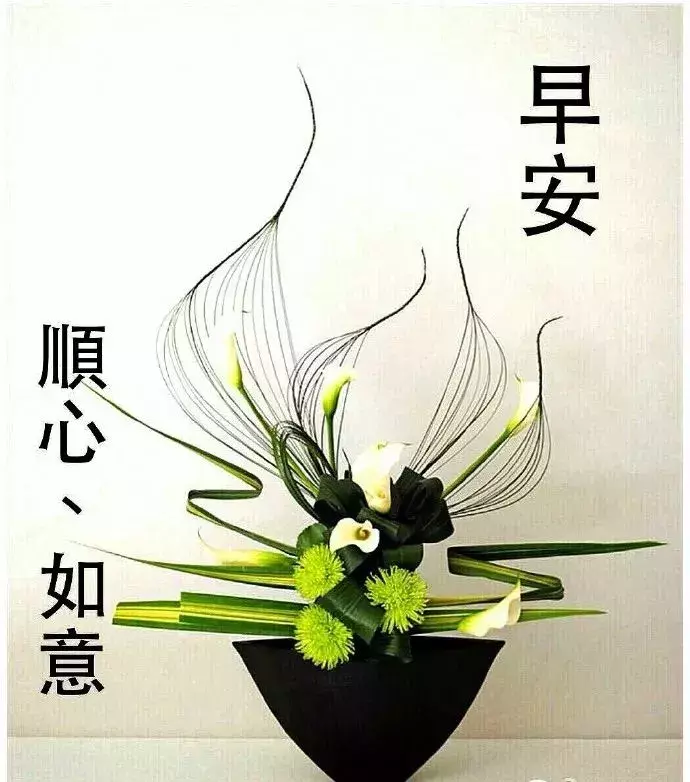 清晨的第一道阳光照亮大地,呼吸着新鲜的空气,祝你早安