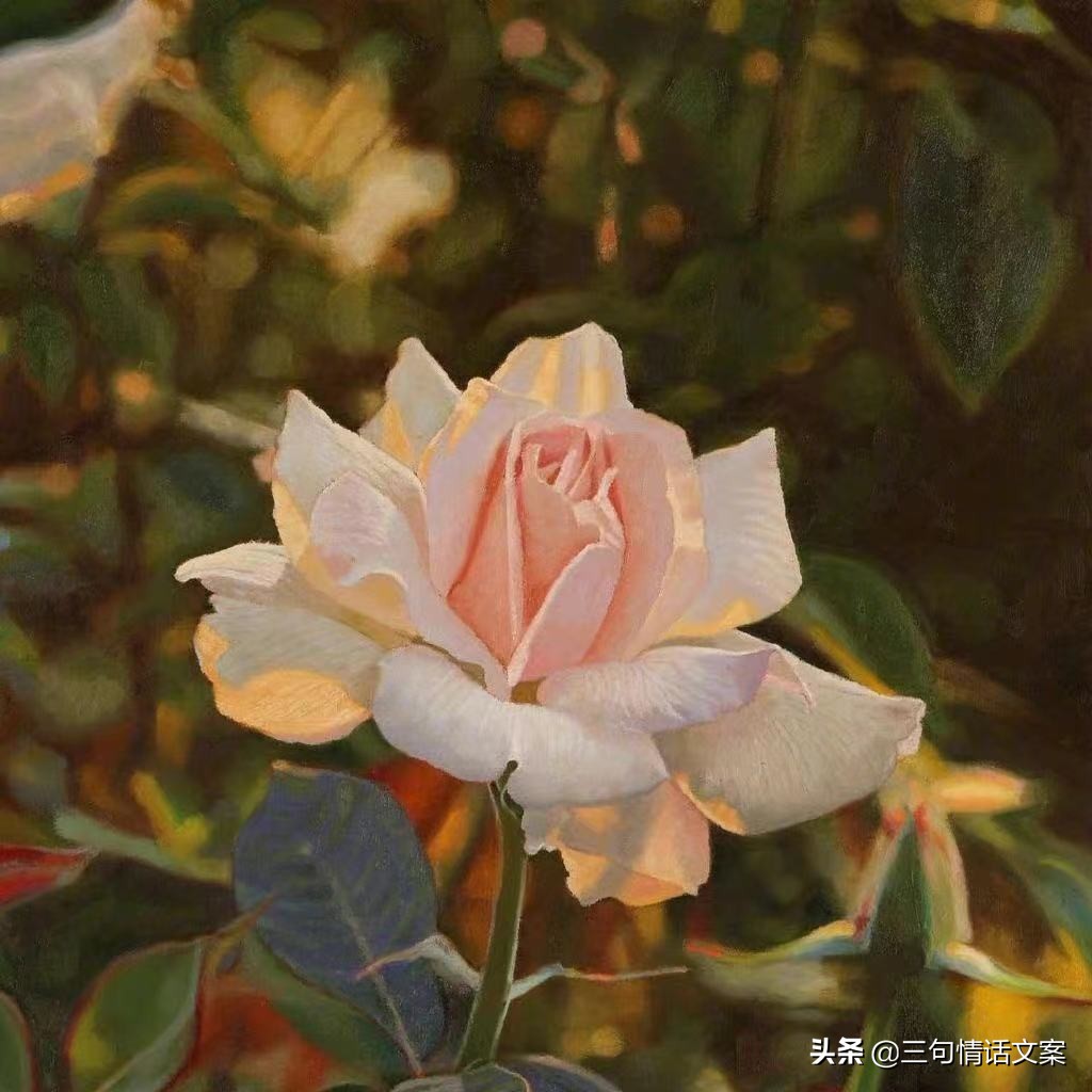 最动人的温柔情话，暖心有爱，令人心动图片