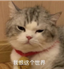 2021年，车险这么买，最划算