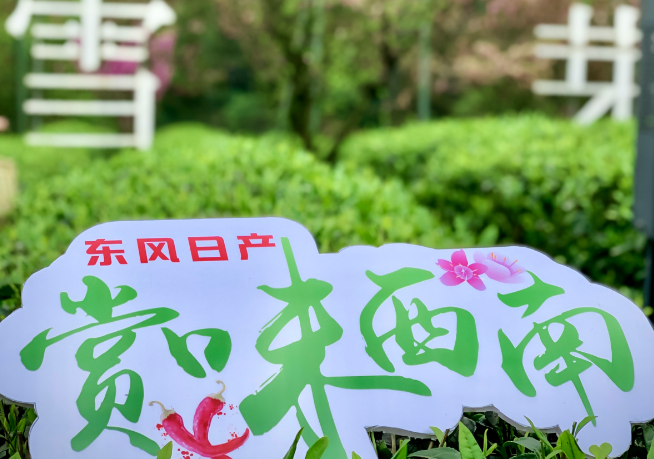 得B级车得天下，老车主是怎么看新天籁的？