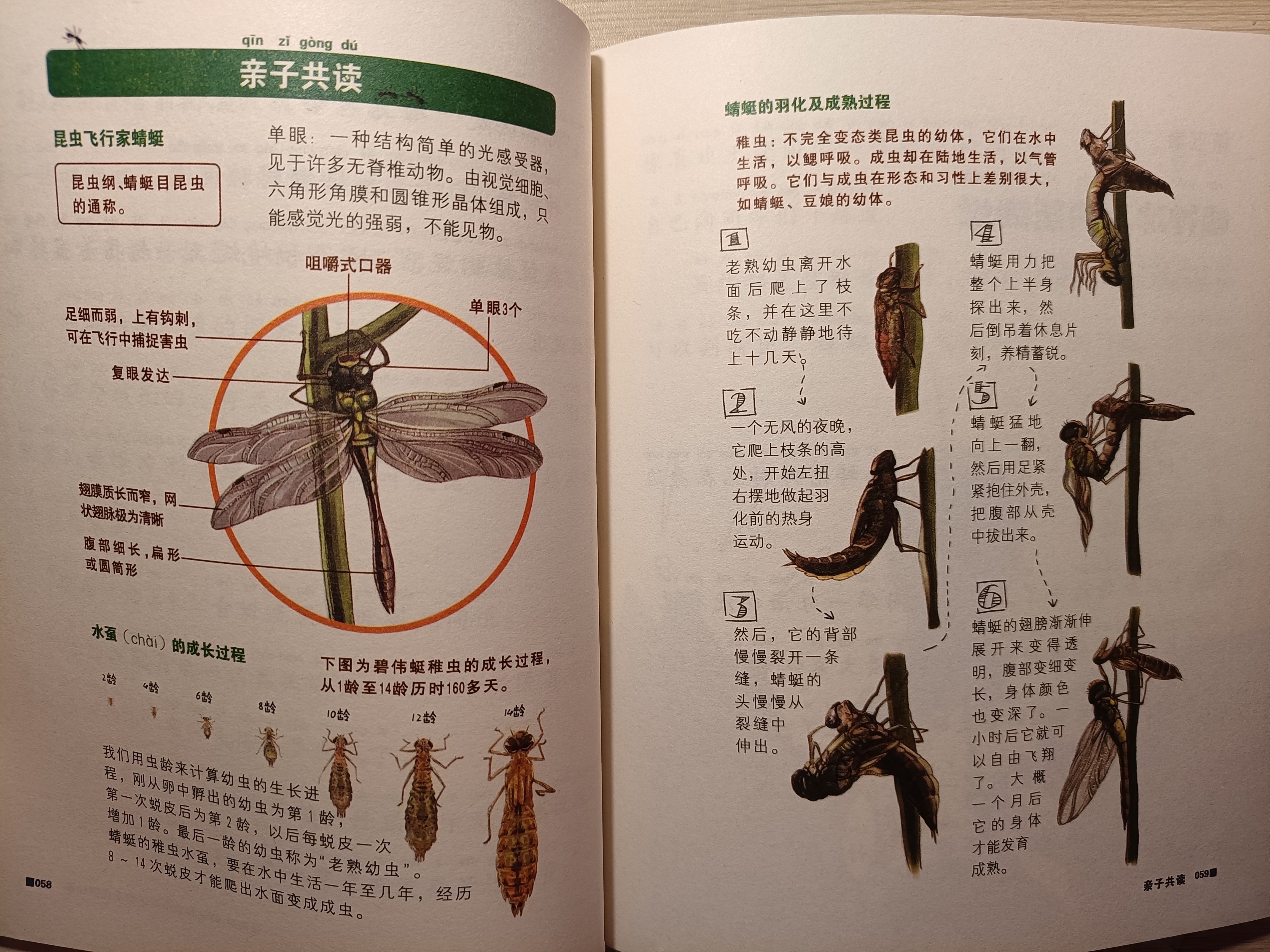 酷蟲學校 師生皆非人類 3歲兒子 參觀 後 迷上了昆蟲世界 C媽育上娃 Mdeditor