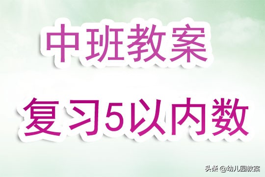 幼儿园中班教案《复习5以内数》含反思