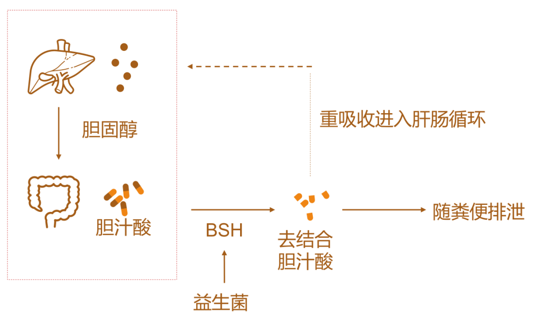 四个瘦身误区，害惨减肥都市人