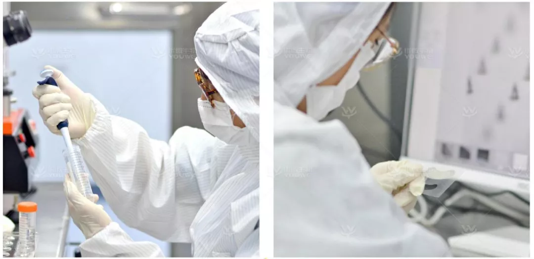 备受资本青睐的优微生物,会成为千亿功效护肤市场的破局者吗?