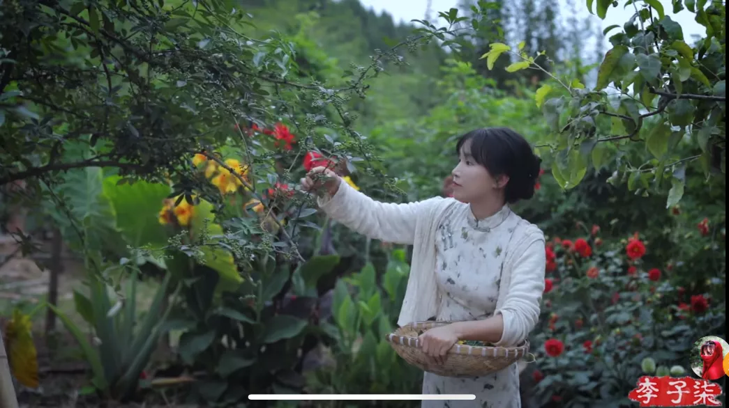 断更的&ldquo;李子柒&rdquo;，心慌的李佳佳