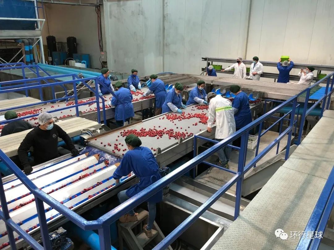 Car a unit of weight child: How from aristocratic fruit, is trend countryman mensal? 