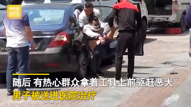 网传江苏一男子遭恶犬当街撕咬致死，还被车轧脚？街道办回应-第5张图片-大千世界