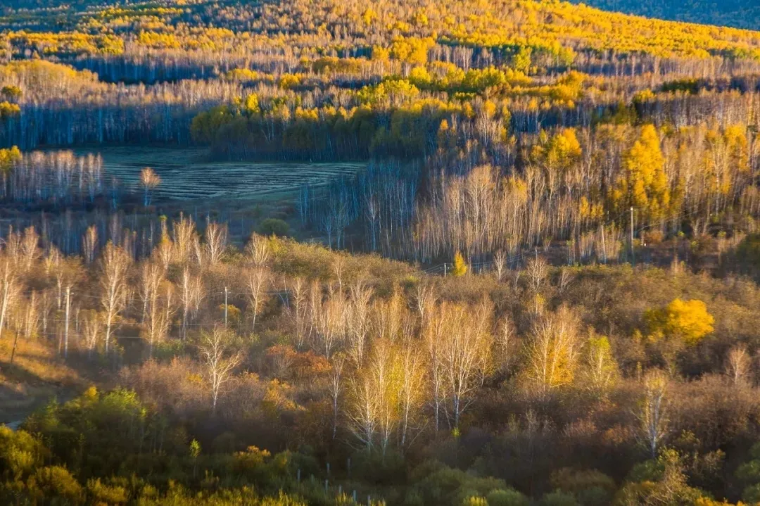 Repelling the scorching summer grassland paradise, Hulunbuir travels the most beautiful route, parent-child vacation praises
