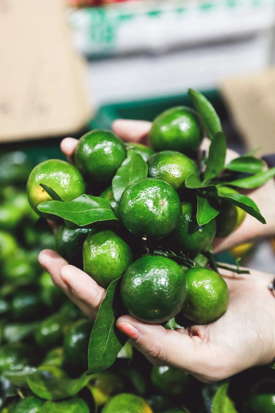 这个藏在最热闹街区的老菜市场，才是长沙人的