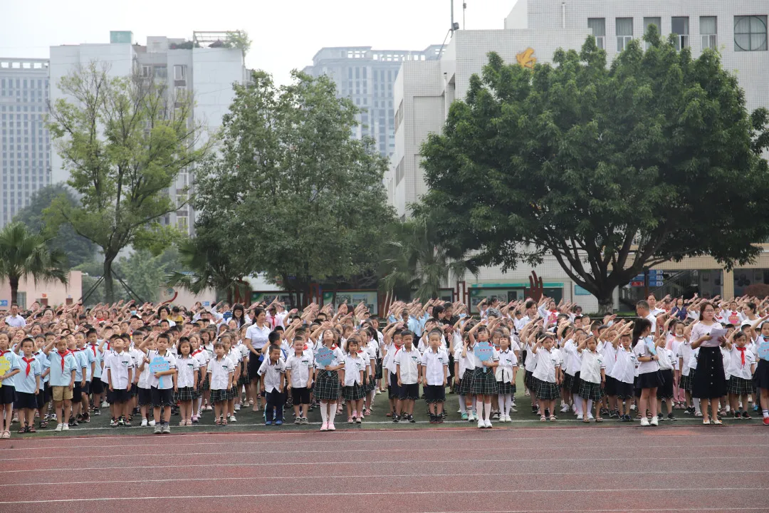 关于四叶娃在天府新区南湖小学一场爱的旅程