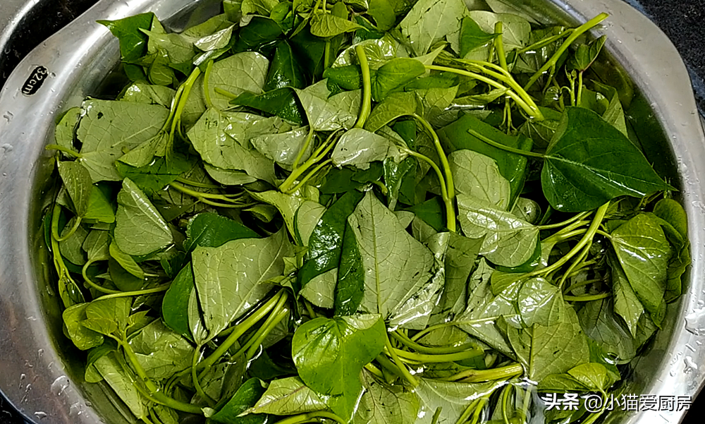 秋天这菜可以多吃，做法简单，口感脆爽，味清香清，吃完不会胖