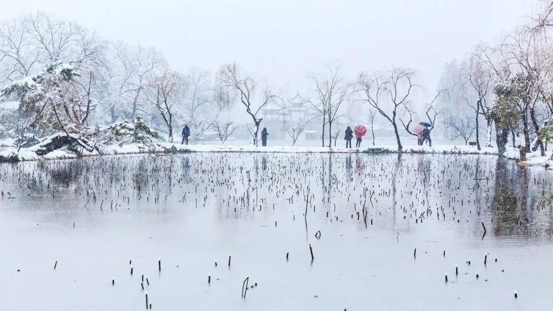 十首冬景的诗词，冬天的景色，在最美的诗词里-第14张图片-诗句网