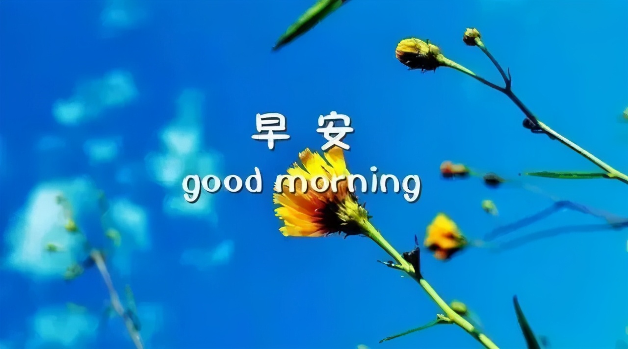 早上好问候语动态表情图文字，微信新的漂亮祝福语图片图片