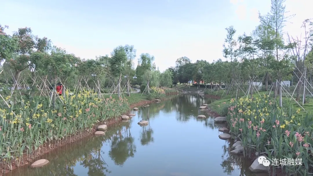 「勇担新使命 奋进新征程」连城：城市品质彰显新魅力 民生福祉交出新答卷