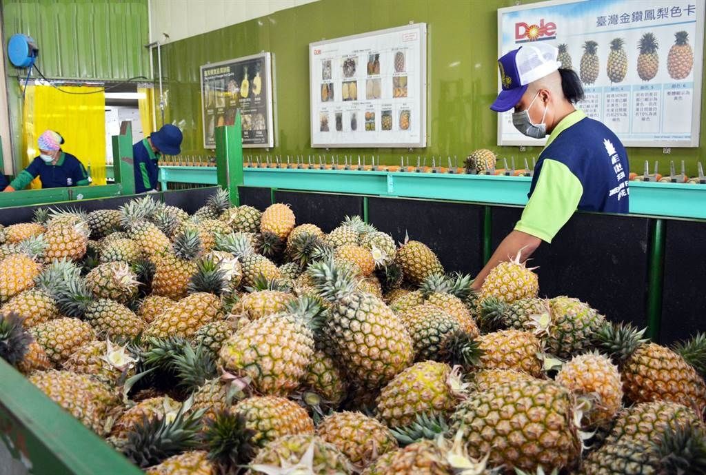 國台辦：菠蘿問題大陸去年已提醒過28次，台當局自食其果