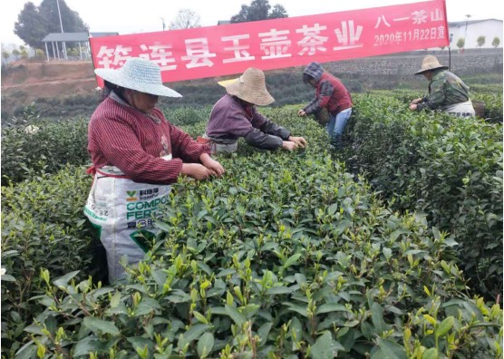 华联农业守护国人食品安全 开启生态功能性农业新时代