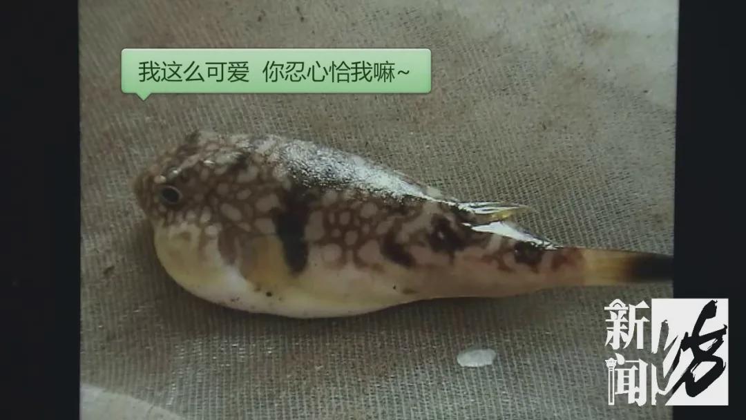 劇毒！0.0005克就能致死！千萬(wàn)別亂吃…