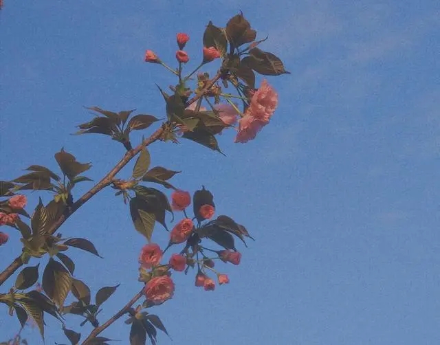 文案：“为了避免结束，所以你避免了一切的开始。”