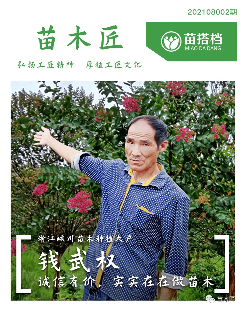 浙江苗农钱武权：诚信有价 实实在在做苗木