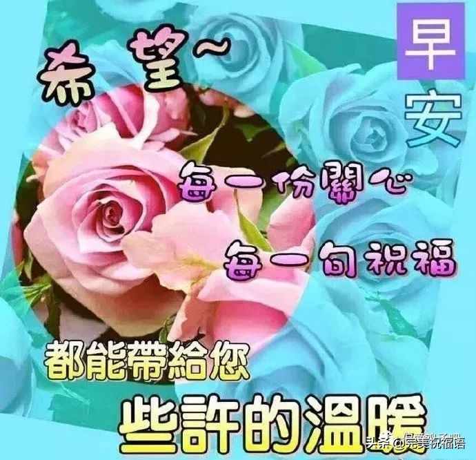 2021最新早上好动态图片带字和鲜花 闪动图片