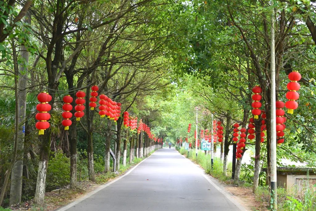 一张蓝图十八年——记全国劳动模范、市人大常委会委员黄秀佳