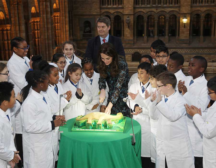 敬业的凯特工作中有趣、感人、甚至尴尬的瞬间