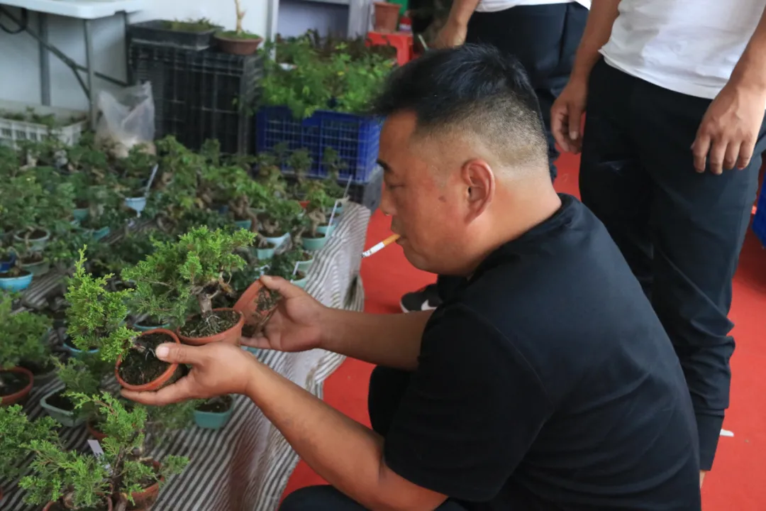 大饱眼福，第八届中国沭阳花木节竟如此精彩！你想看的全在这里…