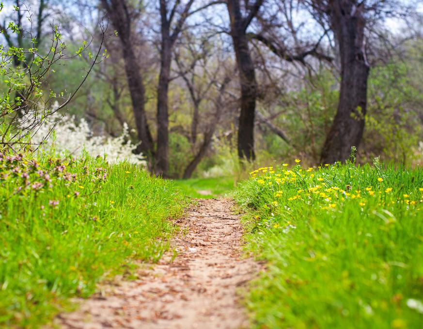 小故事之父母的故事2