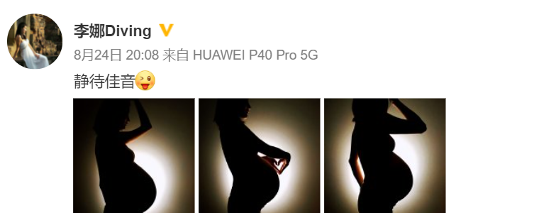 奥运冠军李娜官宣生子！首晒一家三口合照，老公身份至今成谜