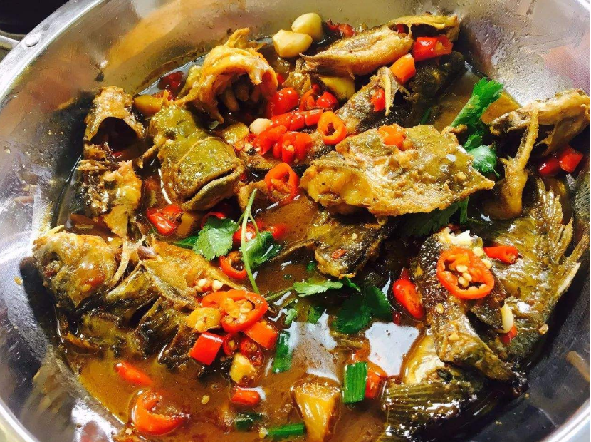 外來物種食蚊魚入侵中國泛濫成災，一天吃蚊2000隻，現在如何了？