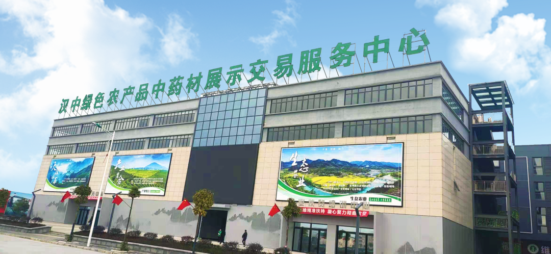 汉中市委书记方红卫：做大汉中中医药产业，打造国际交易平台