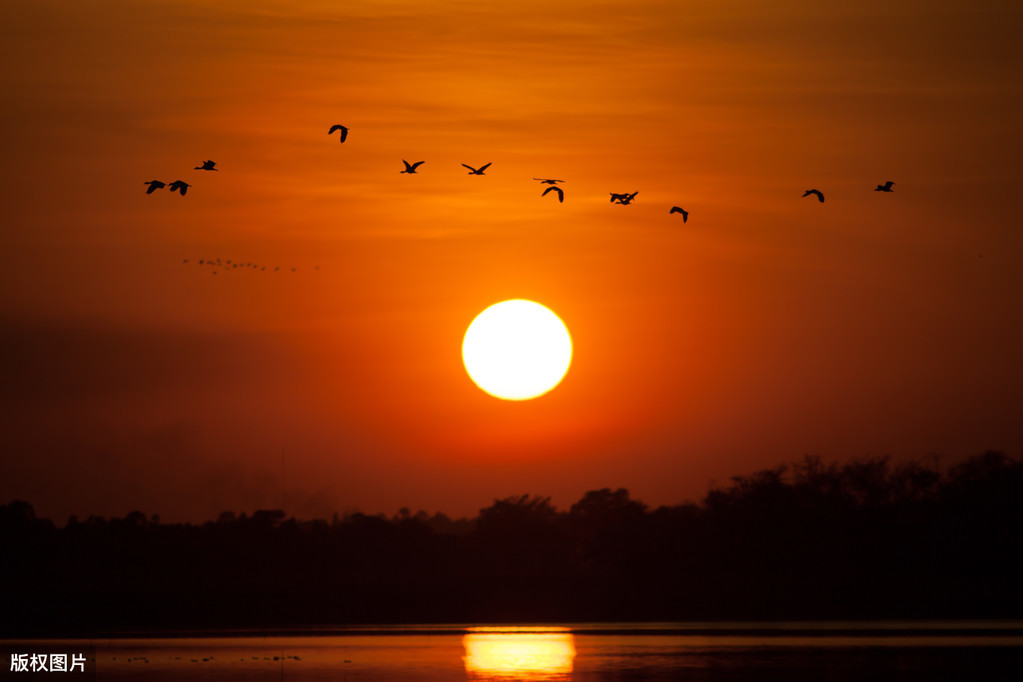 市场占有率不到10%为什么传统银行业干不过支付