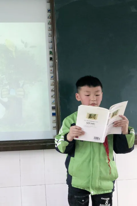 成都市双流区公兴小学德育课程之读书节活动