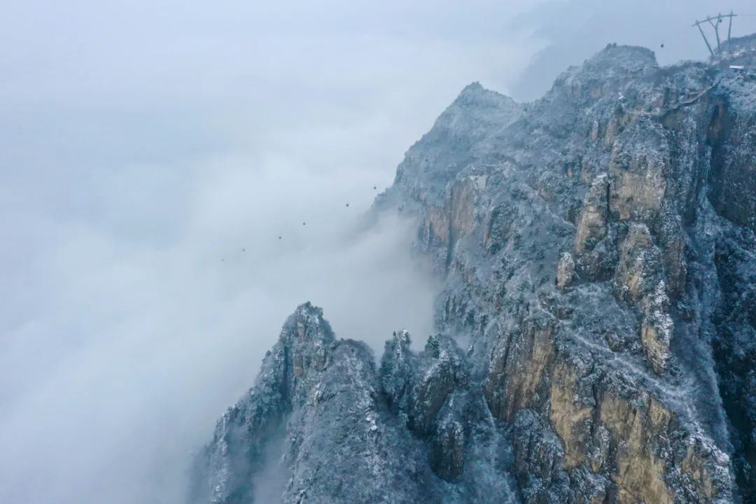 美到爆！云台山迎春日“桃花雪”！雪山云海宛若仙境