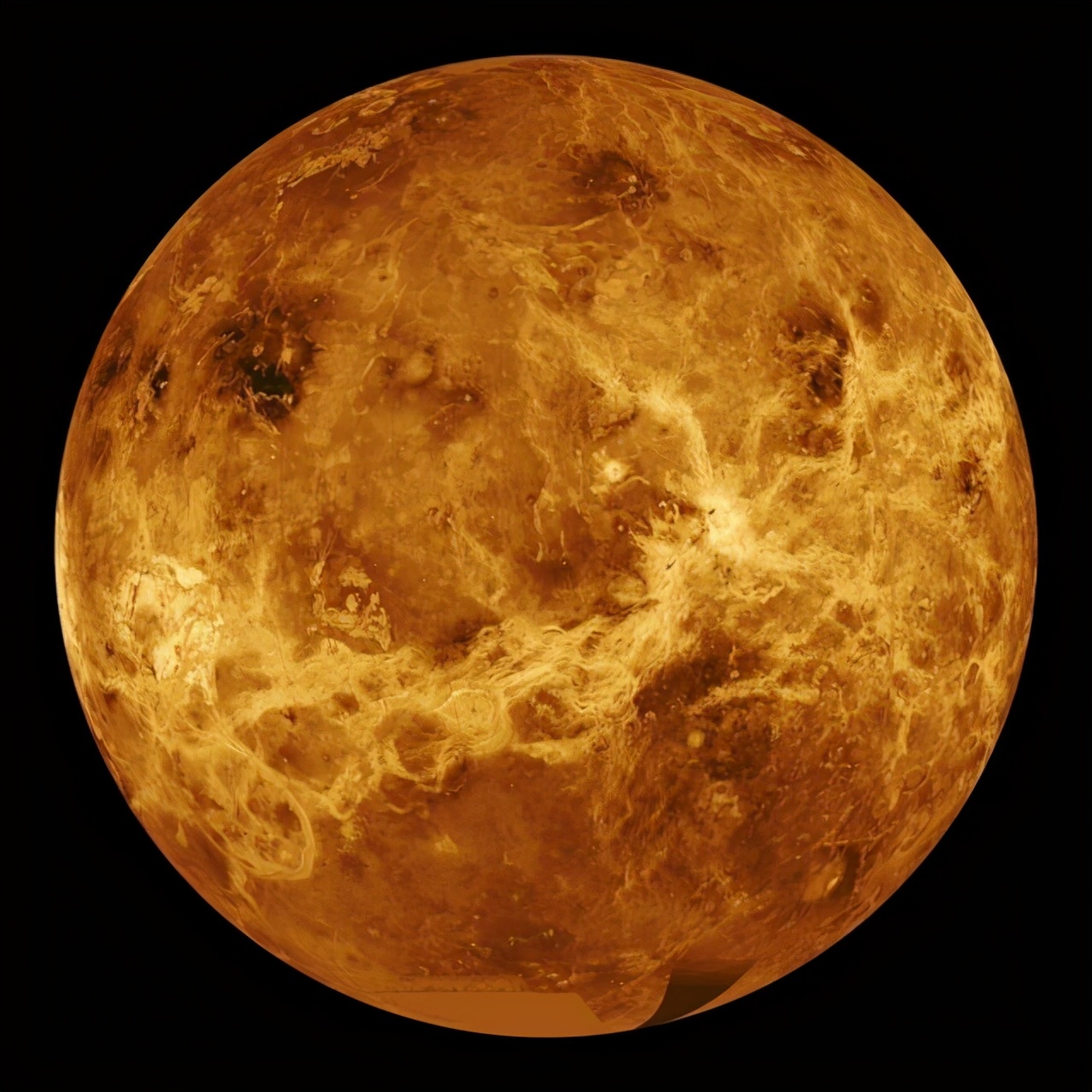 金星上竟有生命的迹象