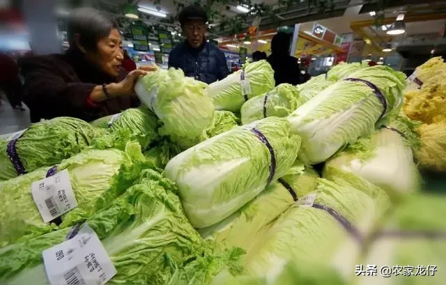 猪肉降下来了,大葱、白菜又涨价了?白菜再不是“白菜价”