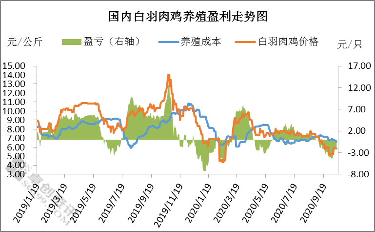 白羽肉鸡价格连稳超10天 鸡价到底涨不涨？