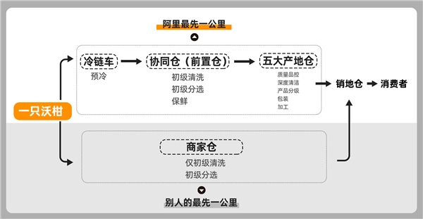 破解“最先一公里”难题，阿里加码数字产地仓，实现农业增值