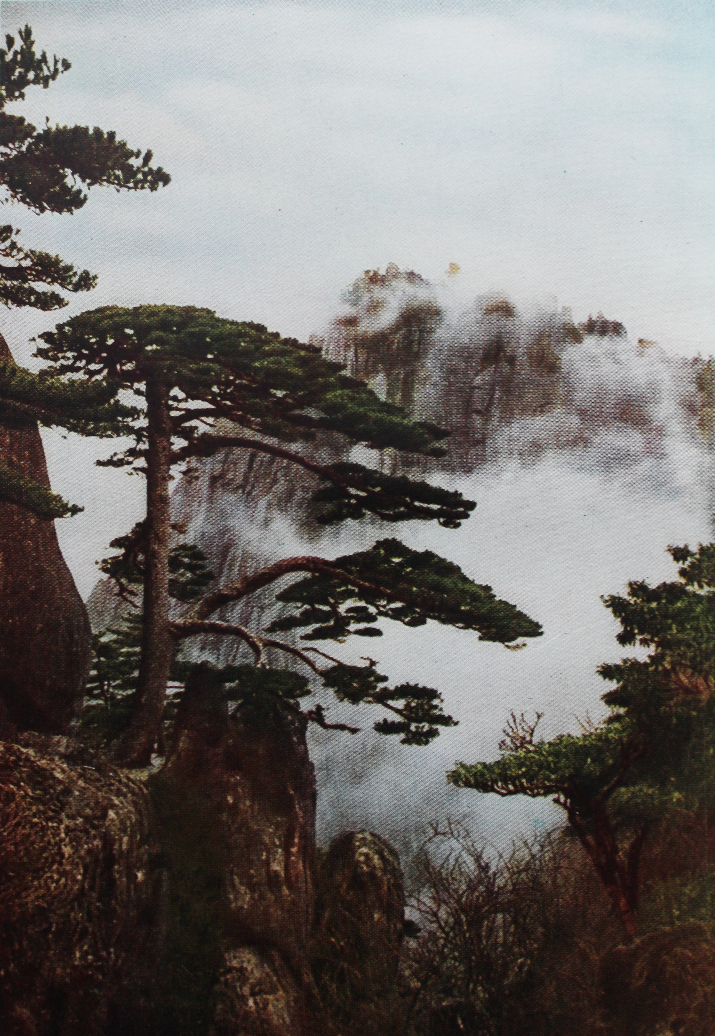 百年老照片破解黄山迎客松真假之谜