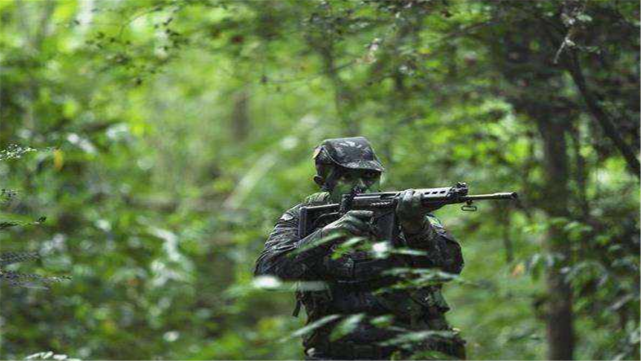 原来我们被误导了，大树不能挡子弹，真正能挡