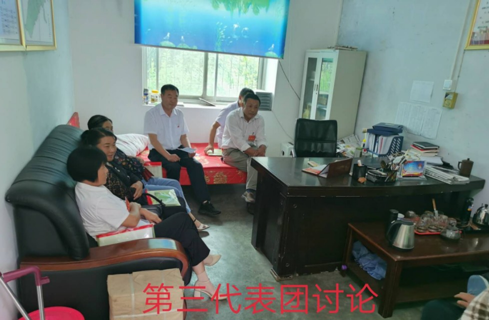 桐柏县月河镇第十六届人民代表大会第七次会议胜利召开
