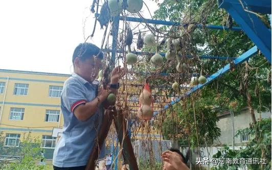 滑縣牛屯鎮(zhèn)中小學(xué)校慶祝農(nóng)民豐收節(jié)專題活動(圖15)